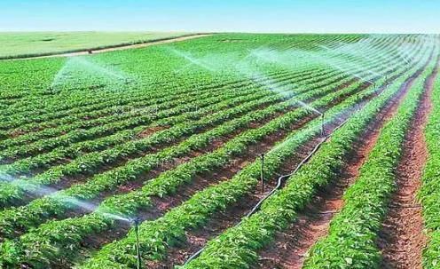 国内老熟女性爱农田高 效节水灌溉